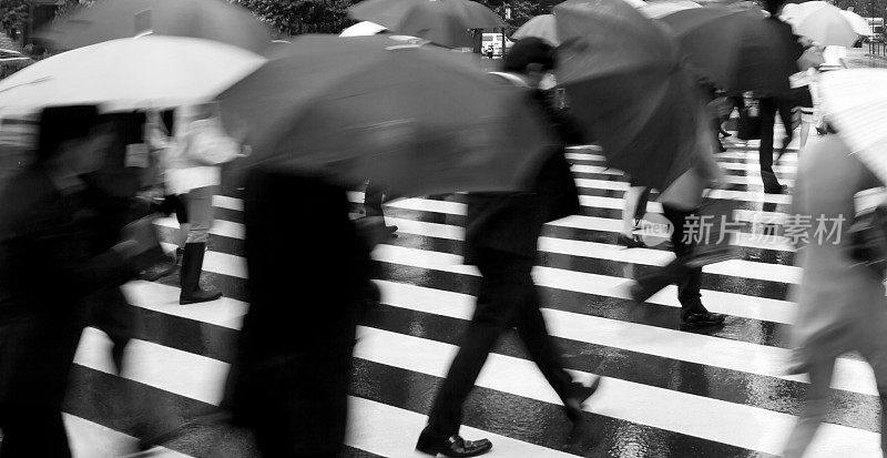 多雨的上班族