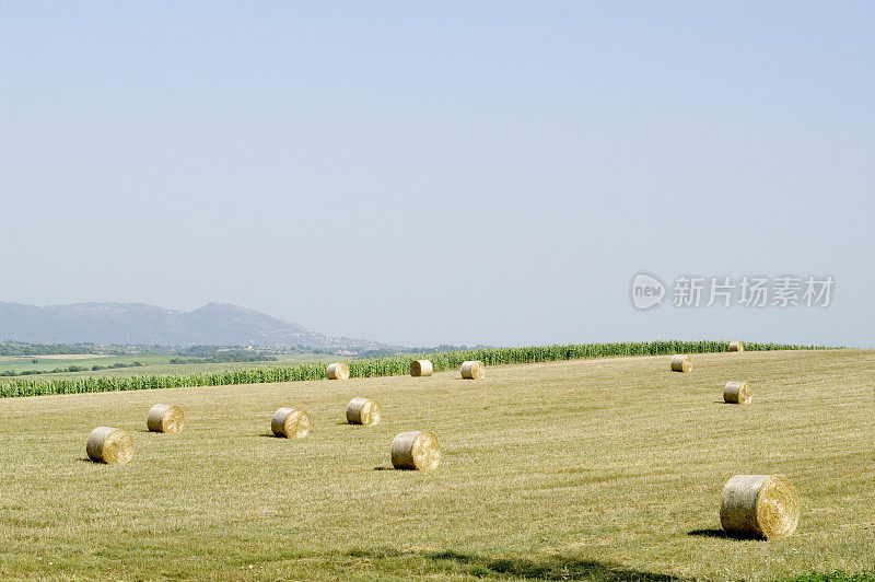 田里的干草堆