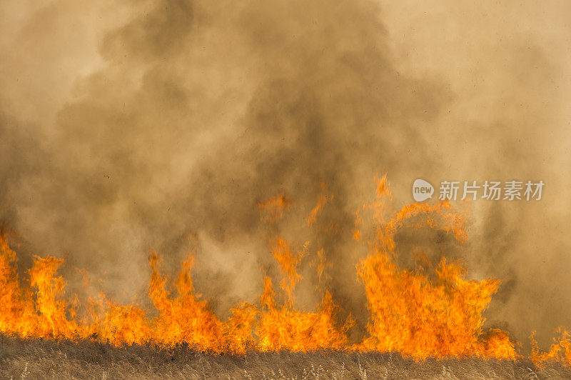 农村农场附近草地野火燃烧产生的烟雾和火焰