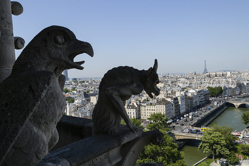 俯瞰法国巴黎的石像鬼
