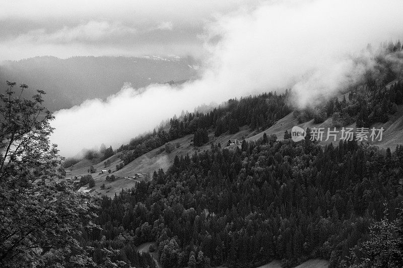 瑞士阿尔卑斯山单色景观，雨天