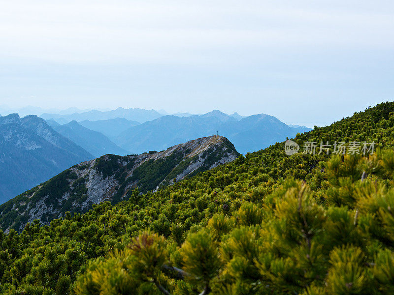 阿尔卑斯山