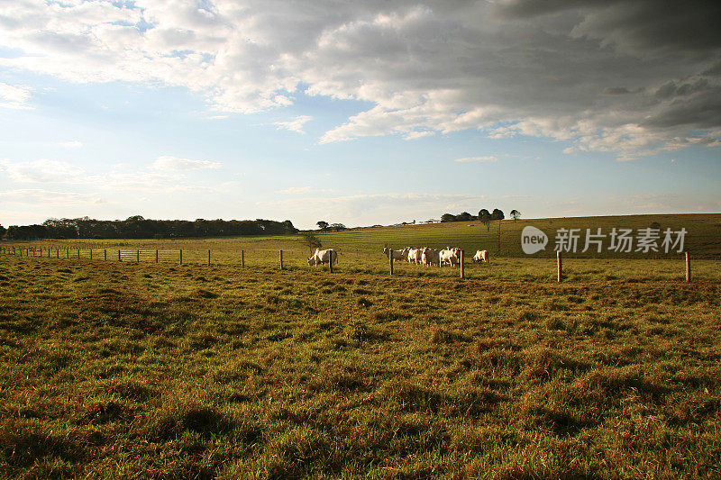 奈洛农地