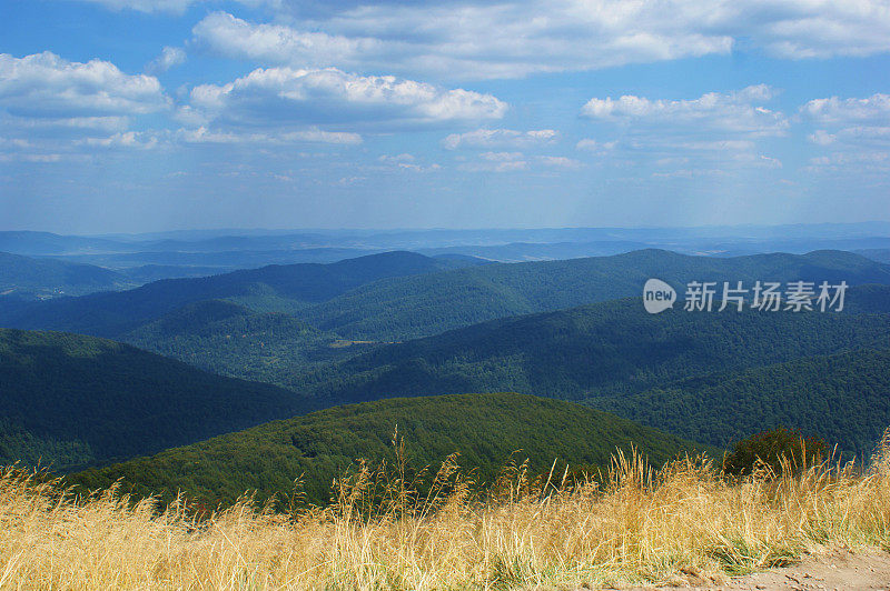 夏天山景观