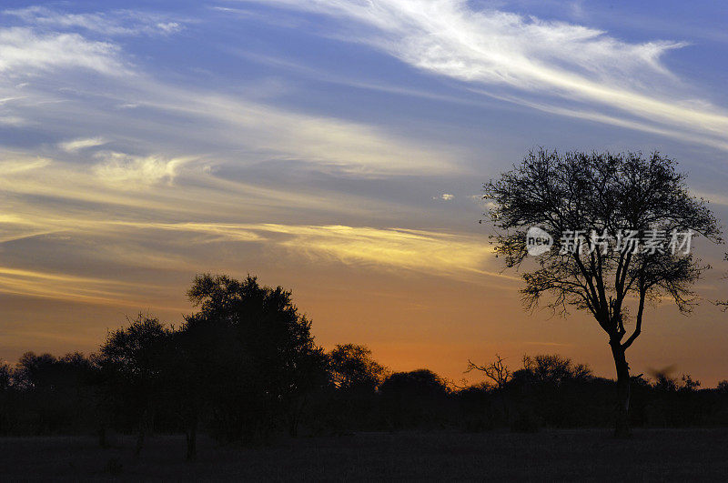 日落后美丽的非洲天空