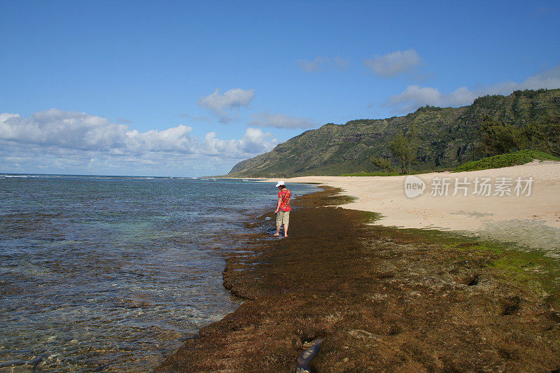 夏威夷:瓦胡岛