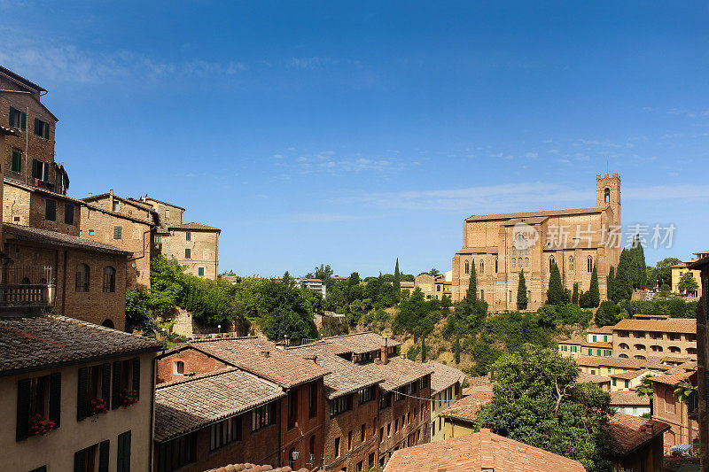 圣多梅尼科大教堂(卡特里尼亚大教堂)和锡耶纳天际线，托斯卡纳，意大利。