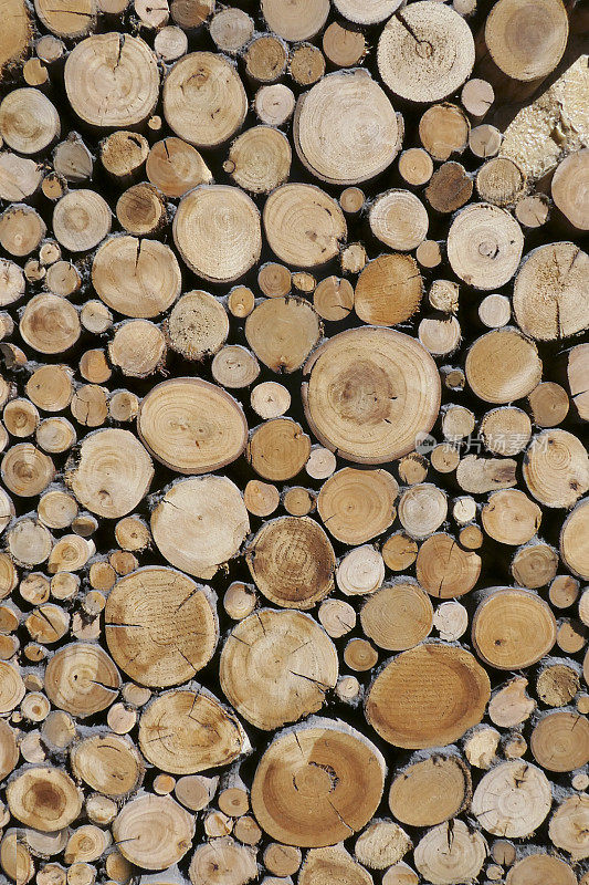 木材,木材