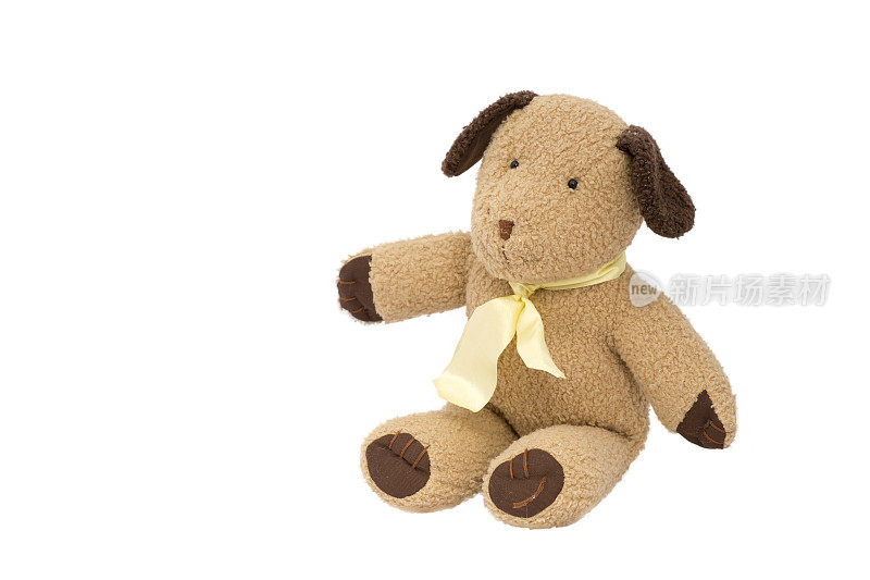 棕色的狗娃娃黄色的丝带领带孤立地坐在白色的背景上
