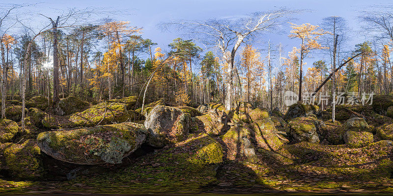 球面全景360度180年老的苔藓覆盖的巨石在针叶林
