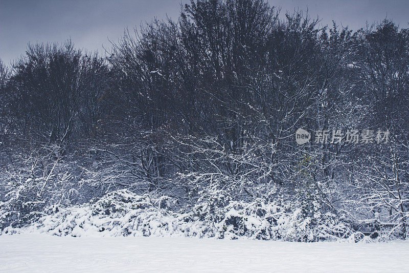 什罗浦郡雪场景