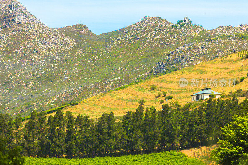 Stellenbosch附近的乡村景观