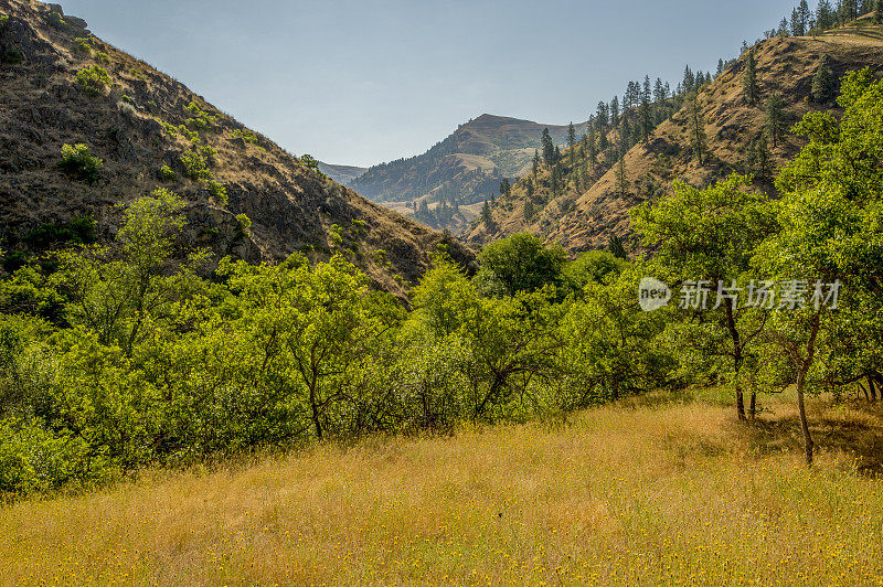 鲑鱼河峡谷，爱达荷州