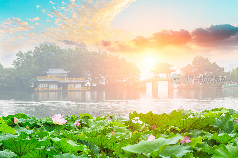 杭州西湖盛开的荷花和中国馆的建筑景观
