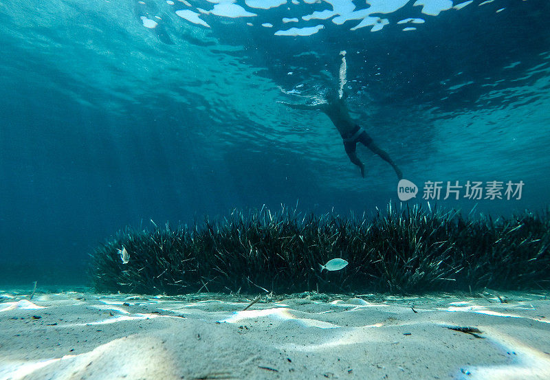 从海面下的人在海里游泳