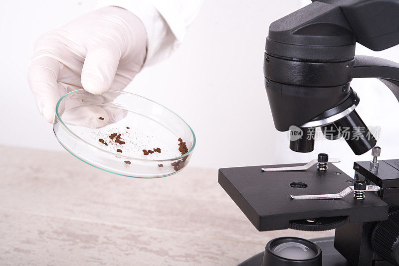一个科学家把一个培养皿放在显微镜台上的特写镜头