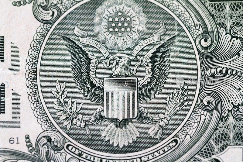 一美元纸币上的联邦鹰的宏观细节