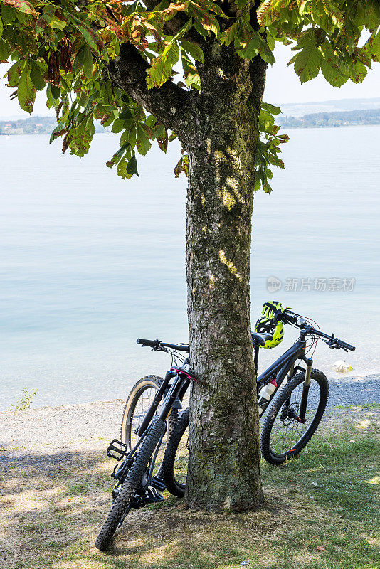 自行车停在树下的楚格湖附近，楚格州，瑞士