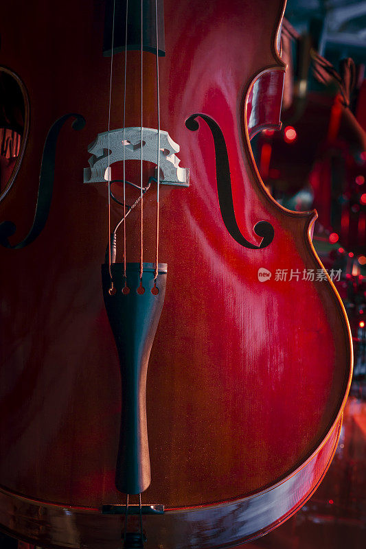 抽象的大提琴图像显示f孔