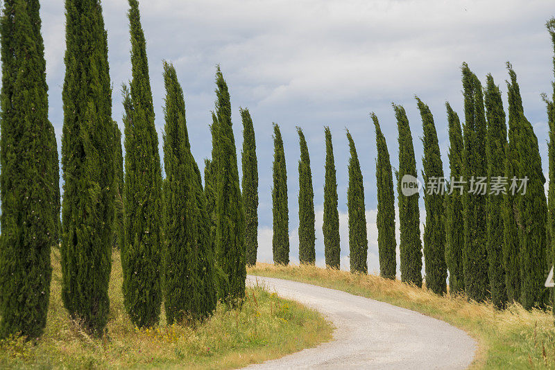 托斯卡纳风景与柏树公路，意大利