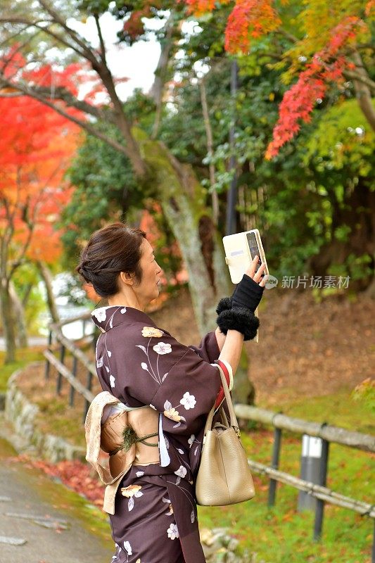 穿着和服的日本妇女在京都拍摄秋叶