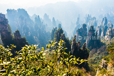 张家界国家森林公园