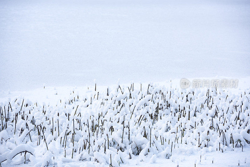 冰封的冬天，湖面上有冰雪