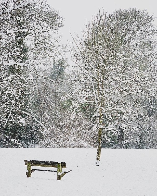 下雪天，英国万日公园的空长椅