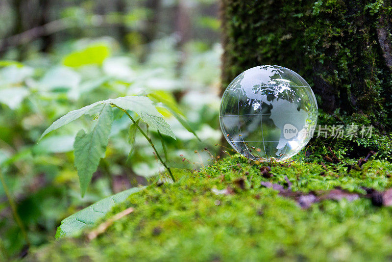 苔藓地上的玻璃球