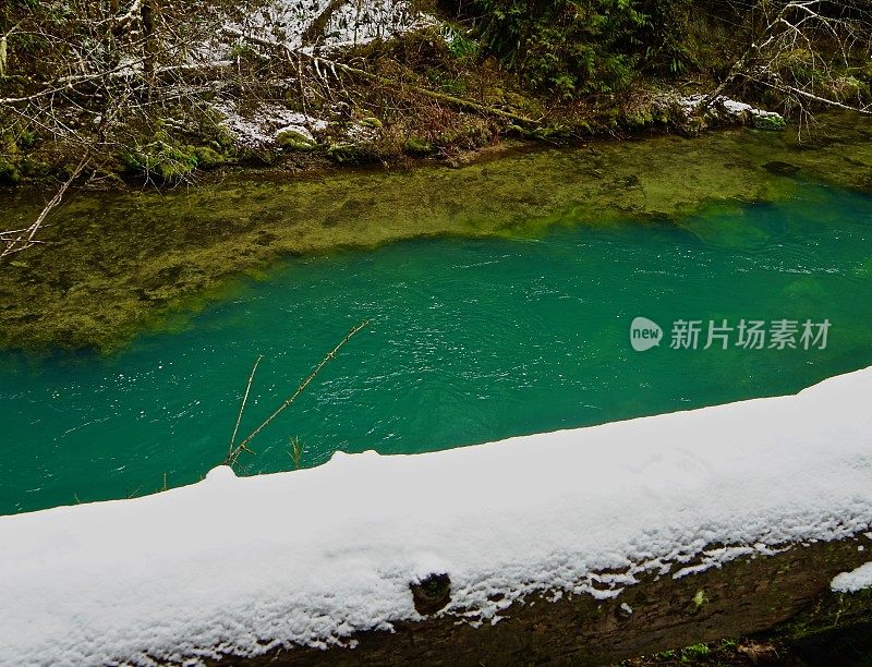 鲑鱼溪雪林