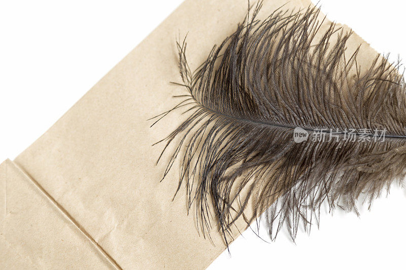 棕色纸袋上的鸵鸟羽毛