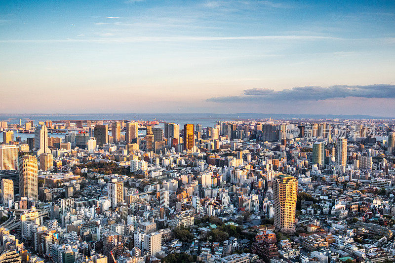 日本东京的现代城市全景