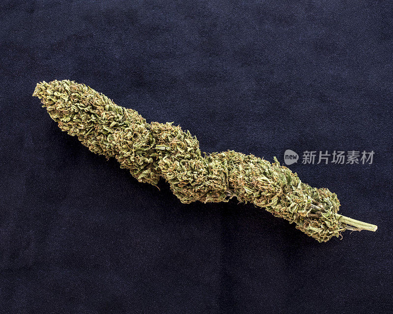 大麻味蕾