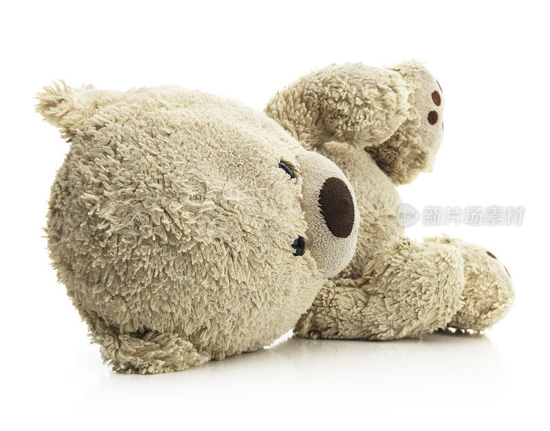 孤立的卧式泰迪熊