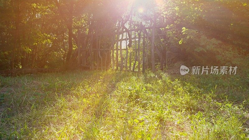 用树枝搭成的乡村篱笆，夏日灿烂的阳光透过篱笆