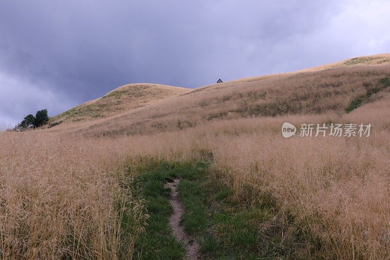 美丽的夜晚在阿尔卑斯山脉。斯洛文尼亚托尔明附近的索查山谷