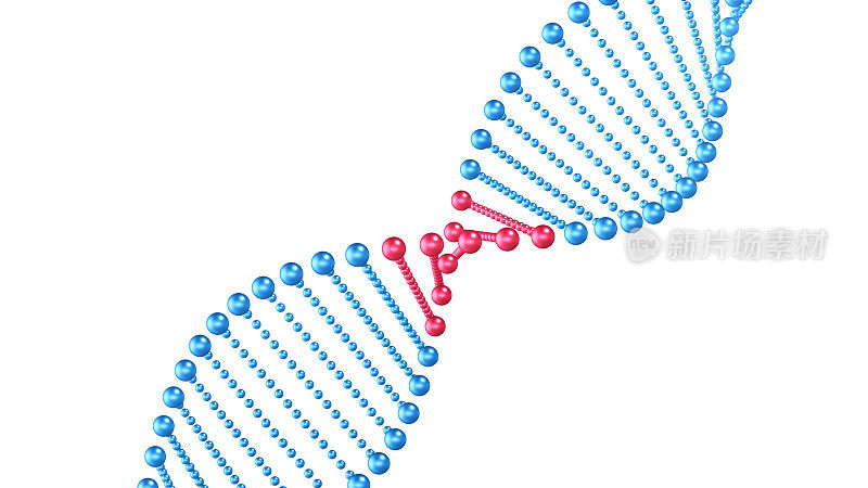 DNA双螺旋变化