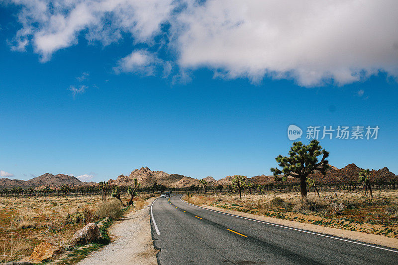 穿越约书亚树和莫哈韦沙漠的公路旅行