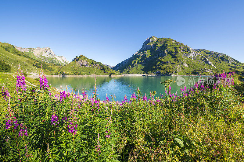 莱赫山谷的斯普尔勒湖