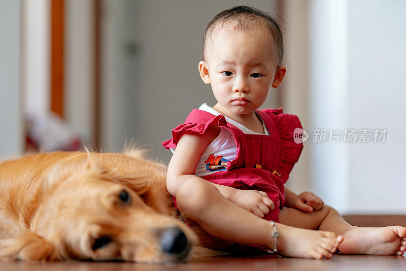 亚洲幼童与狗的关系