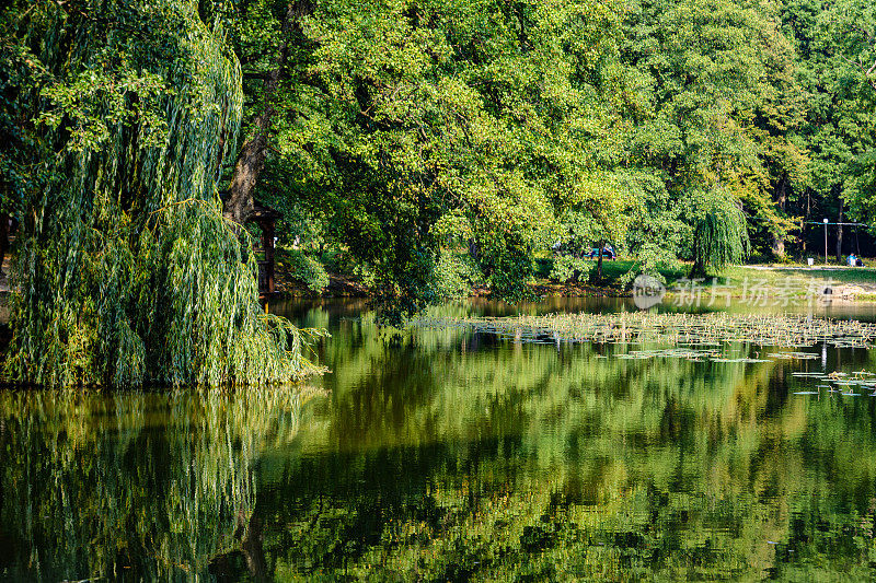 乌克兰喀尔巴阡Schonborn城堡公园里的瑞士湖。青春美丽之源与疗愈之水