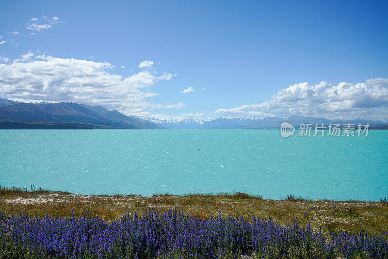 普卡基湖观景台，普卡基湖和库克山在南岛，新西兰