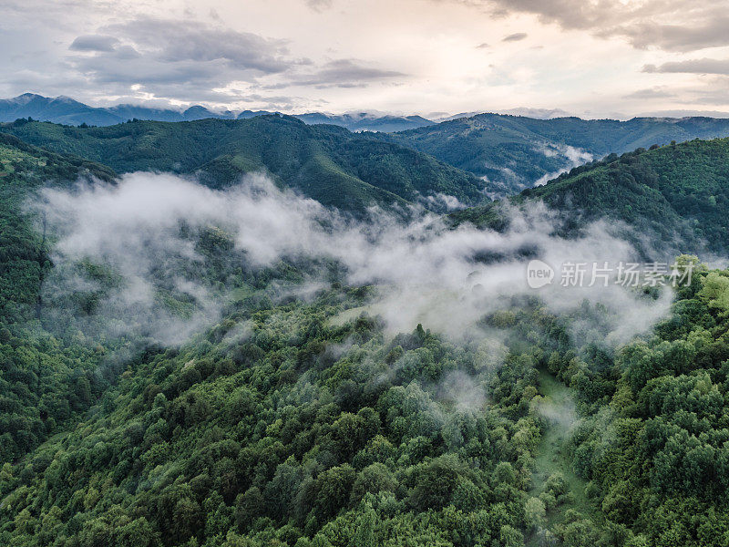 令人惊叹的绿色景观森林在春天。保加利亚的山脉在多云的大雾天