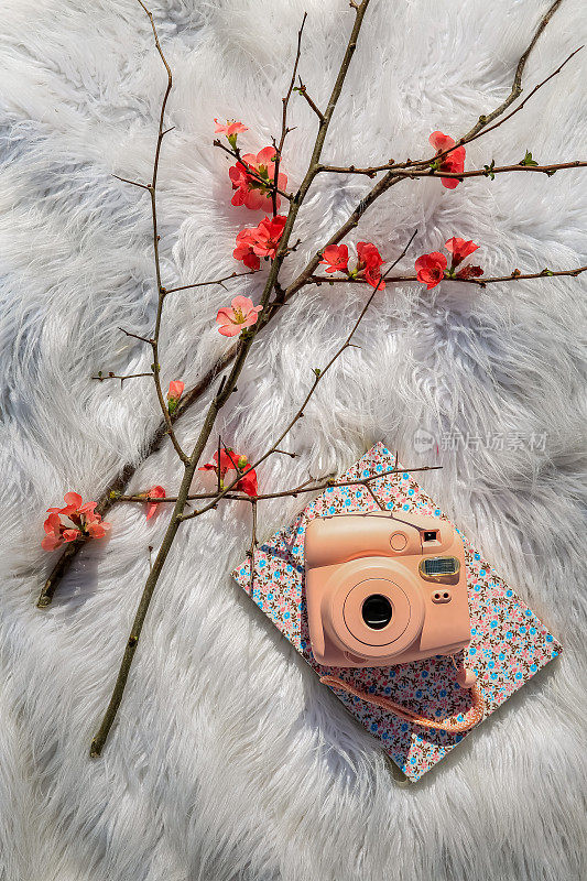 毛茸茸的地毯，粉色复古相机和鲜花
