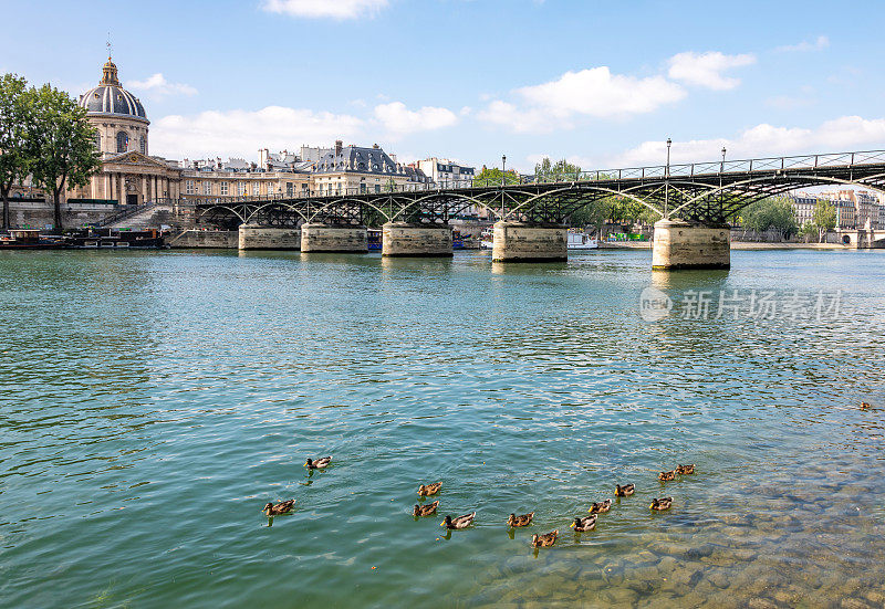 巴黎塞纳河上的小鸭子