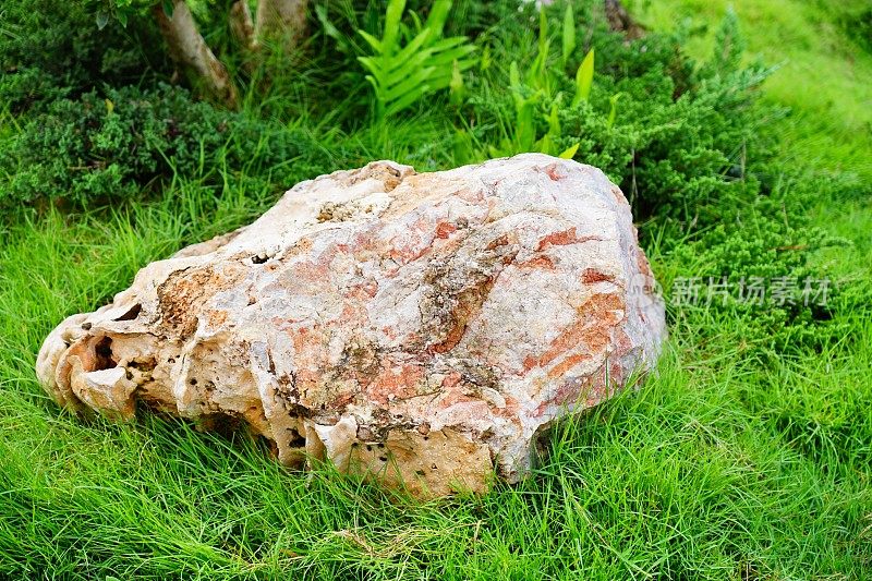 花园里的绿草上有一块大石头。