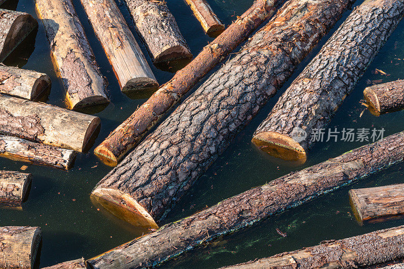 原木在水中流动的特写