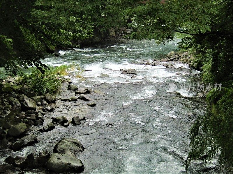 日本。7月。多雨的季节。湍急的河水在山间流淌