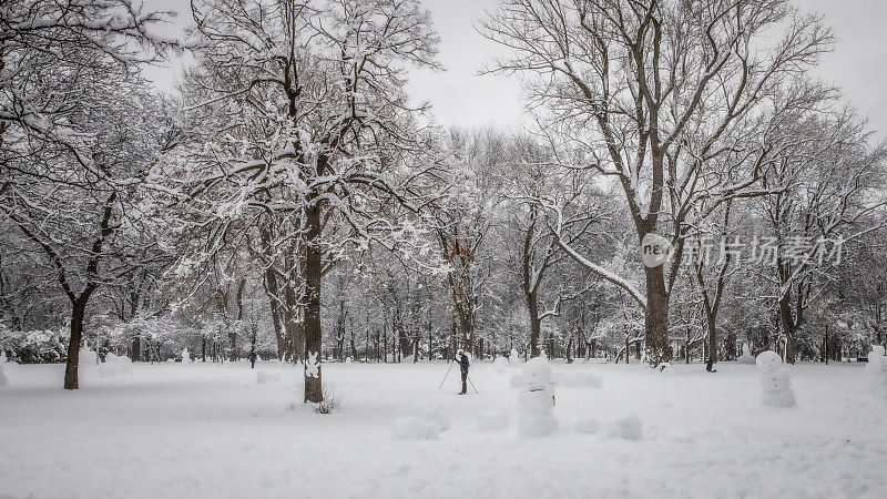 蒙特利尔的拉方丹公园。冬季的蒙特利尔拉方丹公园。