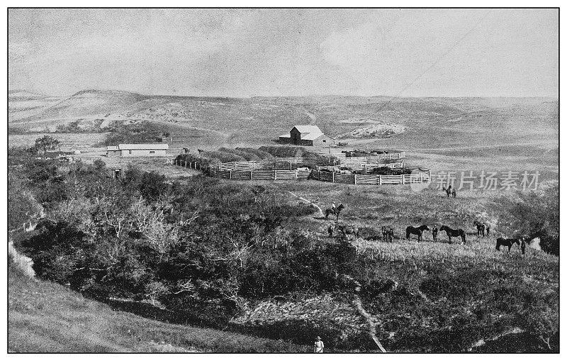 美国古色古香的黑白照片:北达科他州的牧场